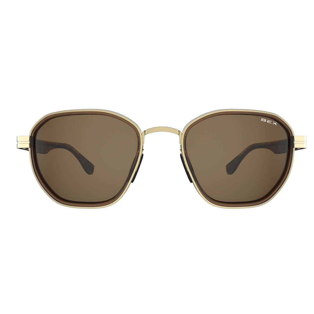 #color_tortoise-brown-gold-brown