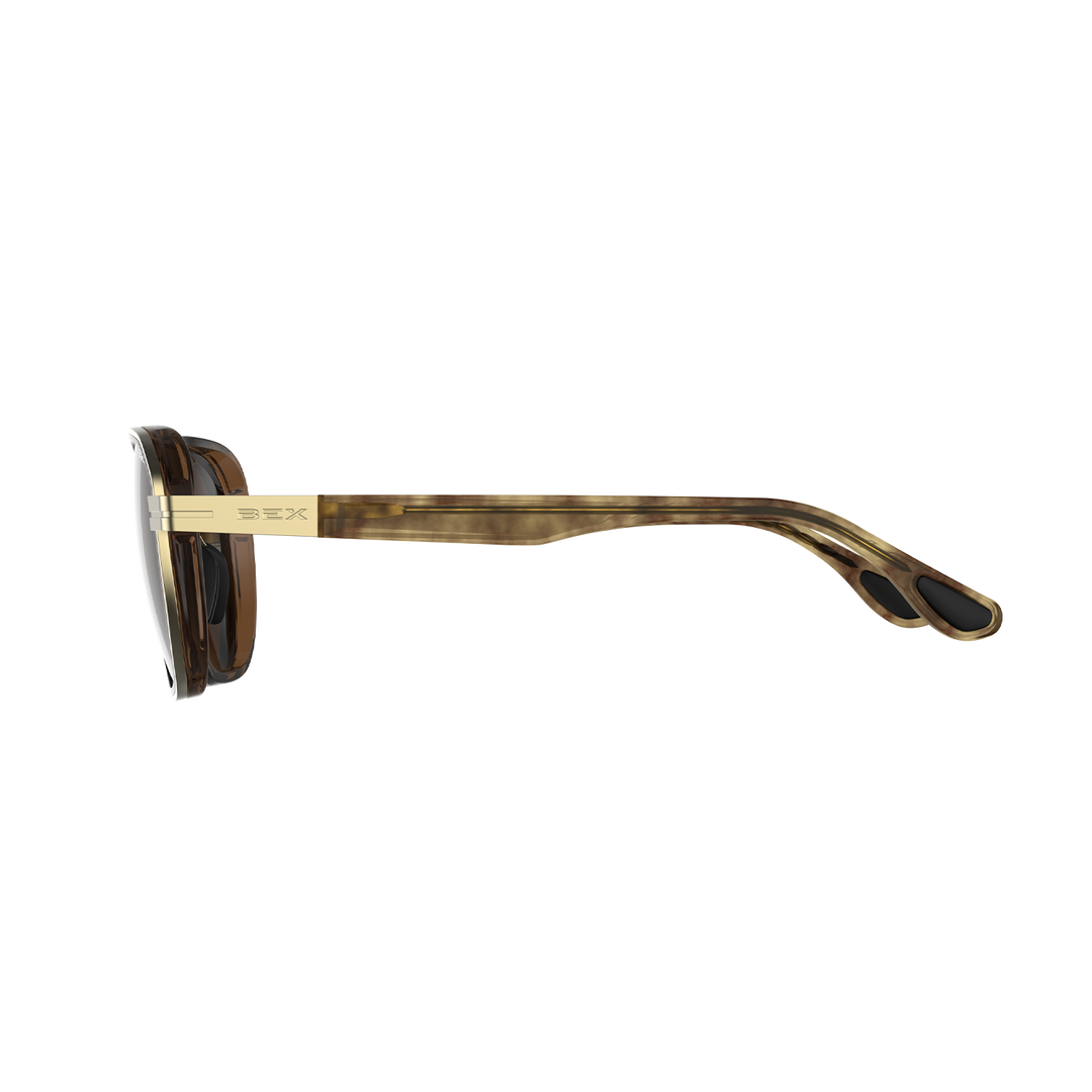 #color_tortoise-brown-gold-brown