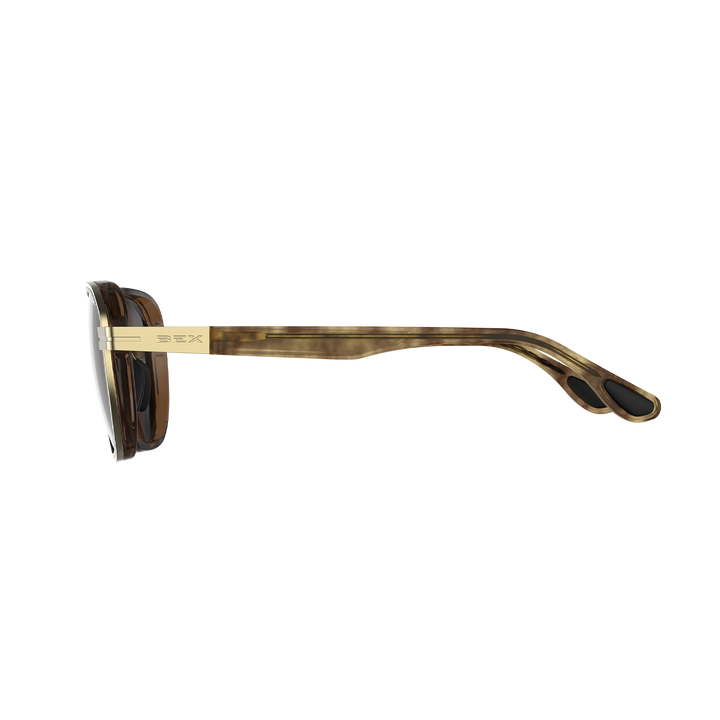 #color_tortoise-brown-gold-brown