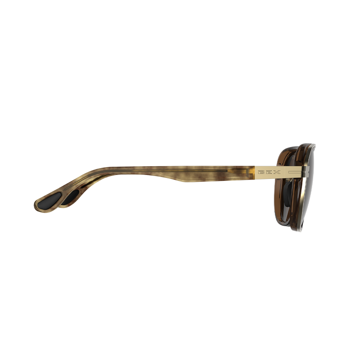 #color_tortoise-brown-gold-brown