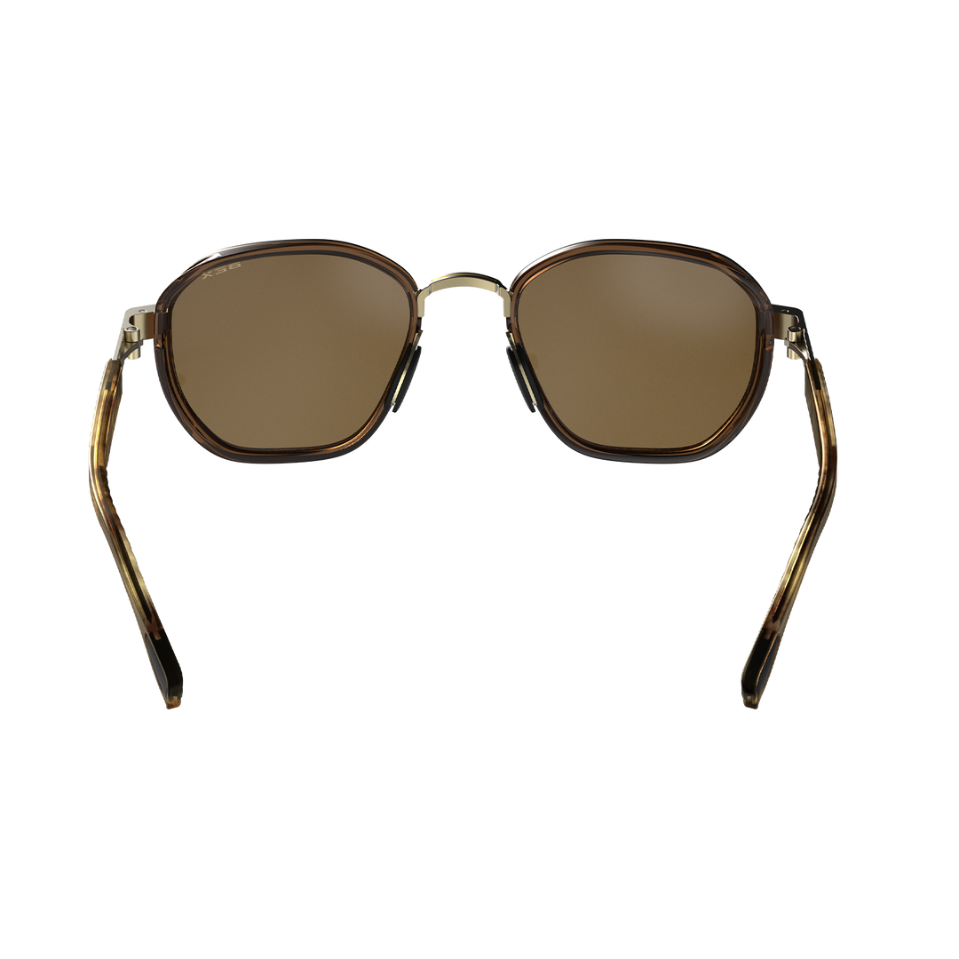 #color_tortoise-brown-gold-brown