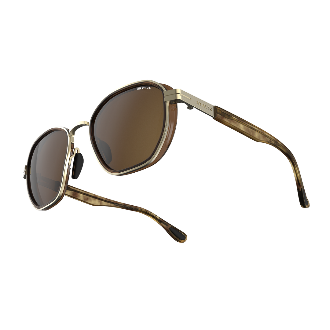#color_tortoise-brown-gold-brown