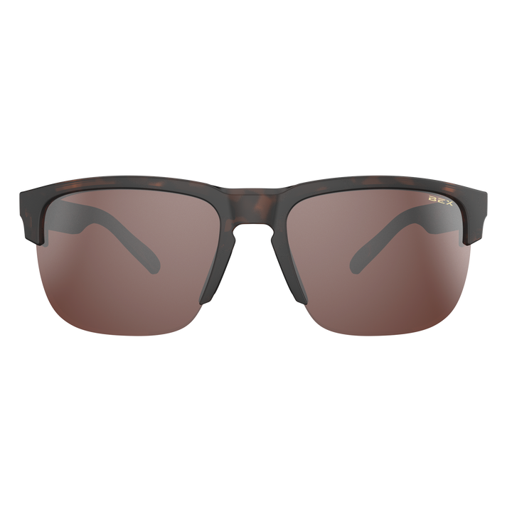 #color_tortoise-brown-brown-silver