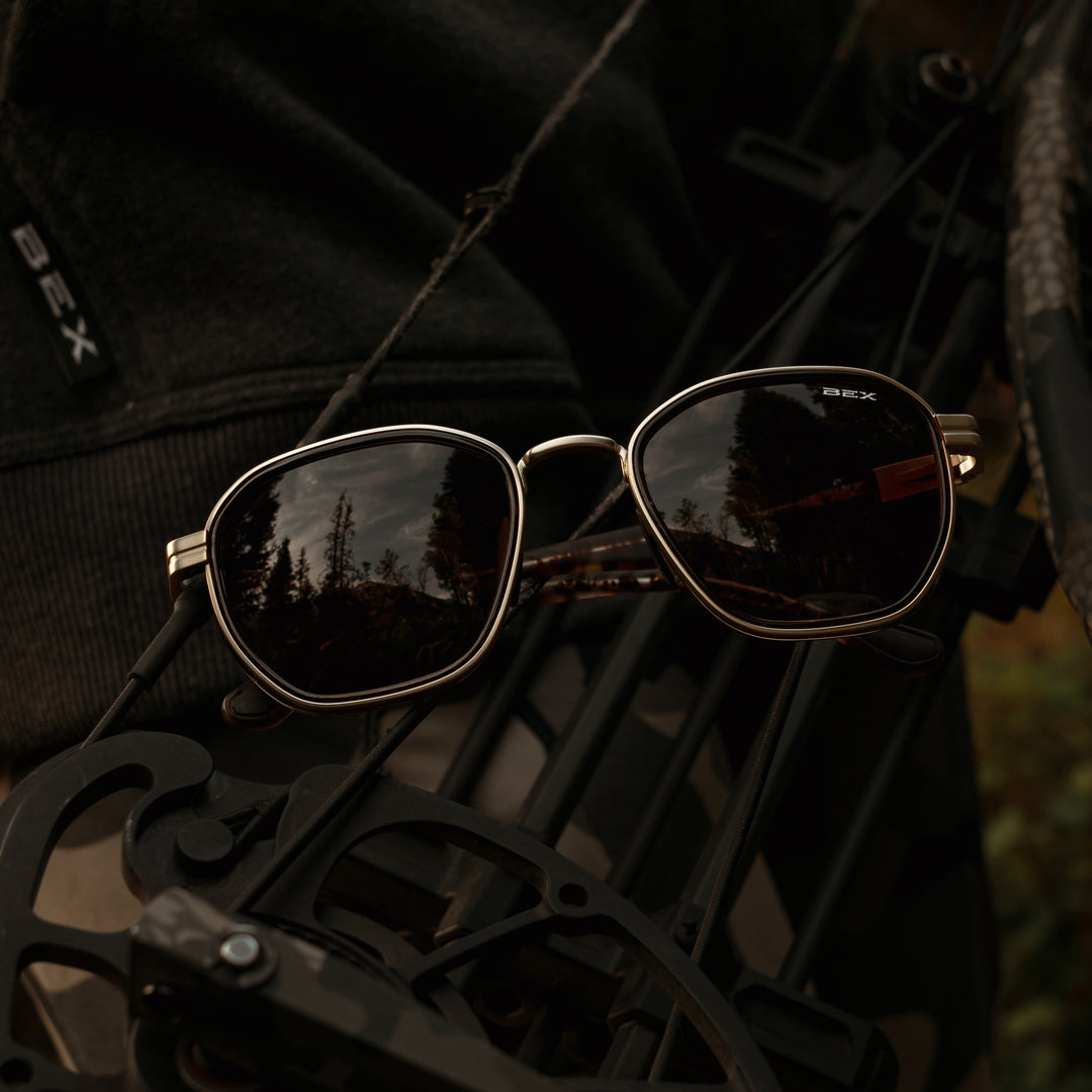 #color_tortoise-brown-gold-brown